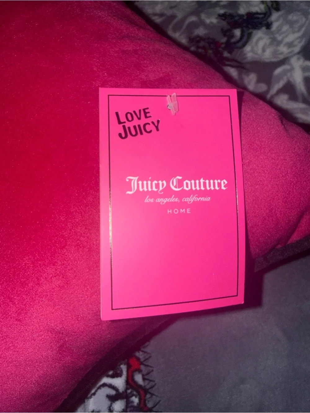 Juicy Couture Home High Maintenance Velvet Throw Pillow